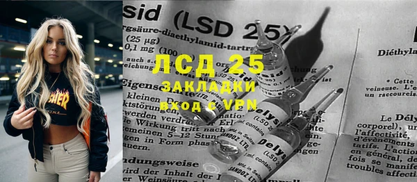 гашик Вяземский