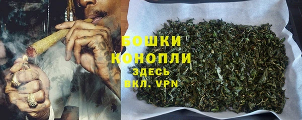 гашик Вяземский