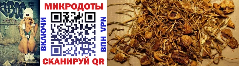 hydra сайт  Жирновск  Галлюциногенные грибы Magic Shrooms 